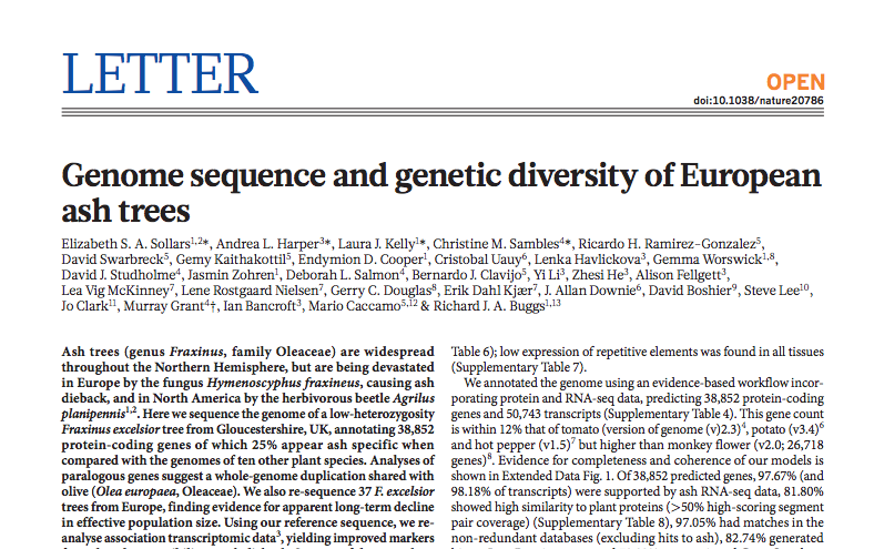 ​Ash tree genomics in response to ash dieback